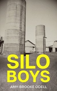 bokomslag Silo Boys