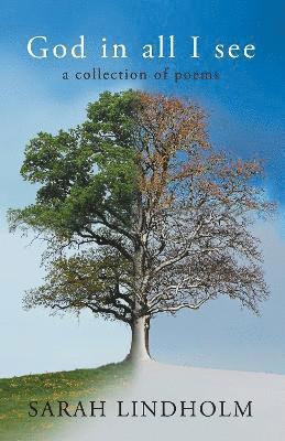 Sarah Lindholm - God in all I see, Häftad
