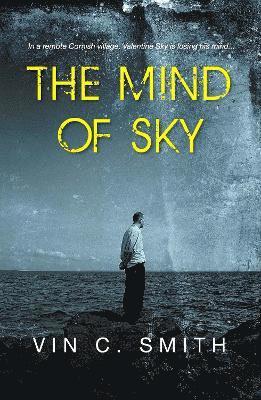 bokomslag Mind of Sky