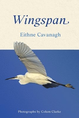 Wingspan 1