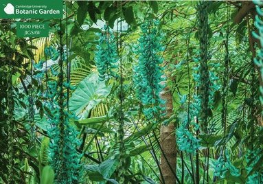 bokomslag Jade Vine 1000 Piece Jigsaw Puzzle: Cambridge University Botanic Garden