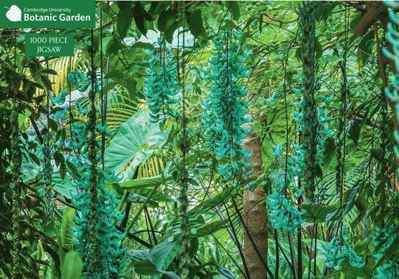 Jade Vine 1000 Piece Jigsaw Puzzle: Cambridge University Botanic Garden 1