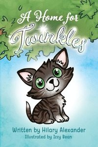bokomslag A Home for Twinkles