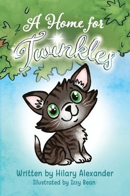 bokomslag Home for Twinkles