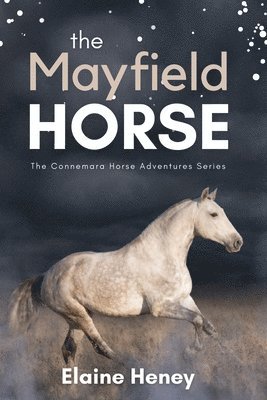 bokomslag The Mayfield Horse