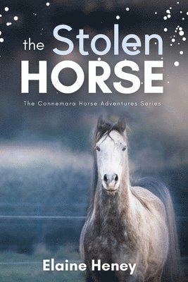 bokomslag Stolen Horse