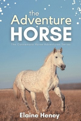 bokomslag The Adventure Horse