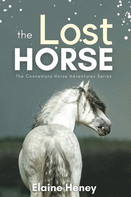 The Lost Horse 1