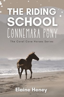 bokomslag Riding School Connemara Pony