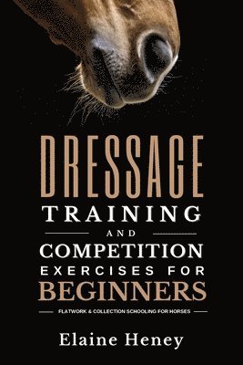 Dressage training and competition exercises for beginners 1