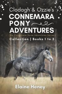 bokomslag Clodagh & Ozzie's Connemara Pony Adventures