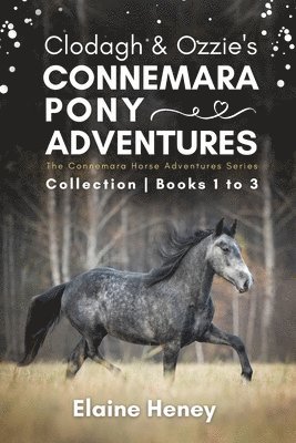 Clodagh & Ozzie's Connemara Pony Adventures 1