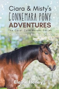 bokomslag Ciara & Misty's Connemara Pony Adventures