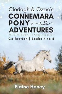 bokomslag Clodagh & Ozzie's Connemara Pony Adventures