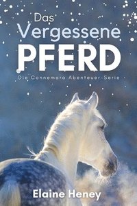 bokomslag Das vergessene Pferd: Die Connemara Abenteuer-Serie