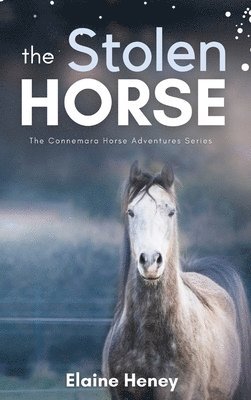 Stolen Horse - Book 4 in the Connemara Horse Adventure Series for Kids | The Perfect Gift for Children
