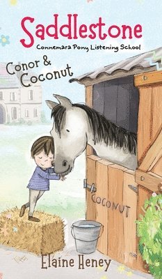 Saddlestone Connemara Pony Listening School | Conor and Coconut 1