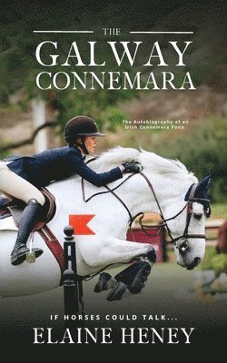 The Galway Connemara | The Autobiography of an Irish Connemara Pony. If horses could talk 1