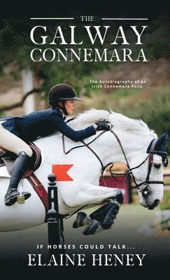 The Galway Connemara | The Autobiography of an Irish Connemara Pony. If horses could talk 1