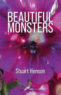 bokomslag Beautiful Monsters