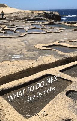 Sue Dymoke - What To Do Next, Häftad