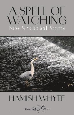 Spell of Watching