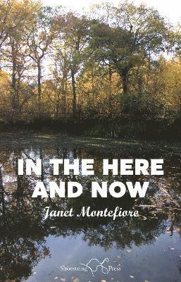 Janet Montefiore - In the Here and Now, Häftad
