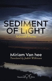 bokomslag Sediment of Light