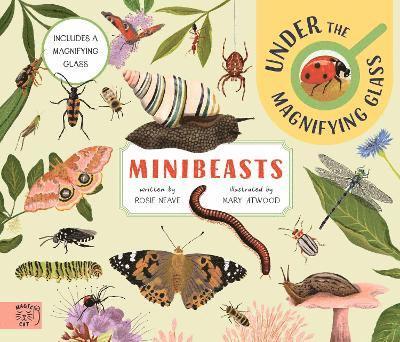 Minibeasts: Under the Magnifying Glass 1