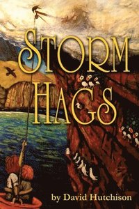 bokomslag Storm Hags
