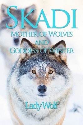 Skadi 1