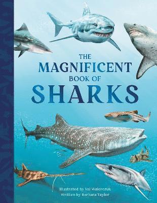 The Magnificent Book of Sharks 1