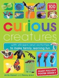bokomslag Curious Creatures