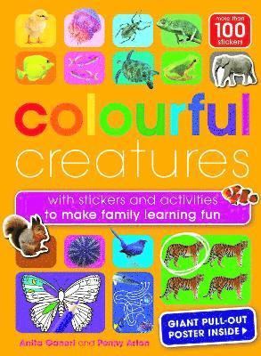 Colourful Creatures