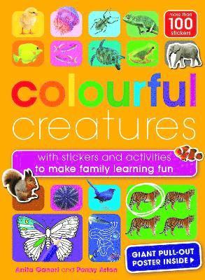 Colourful Creatures 1