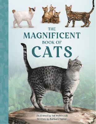 Barbara Taylor - Magnificent Book of Cats, Inbunden