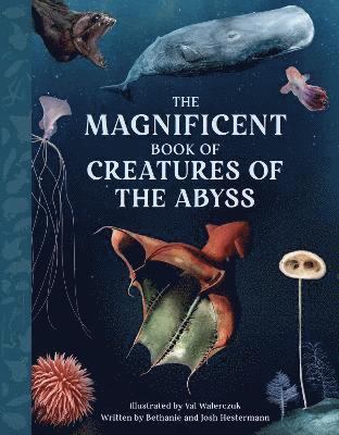 Bethanie Hestermann, Josh Hestermann - Magnificent Book Creatures of the Abyss, Inbunden