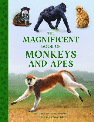 Barbara Taylor - Magnificent Book of Monkeys and Apes, Inbunden