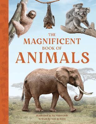 Tom Jackson - Magnificent Book of Animals, Inbunden