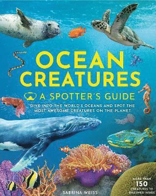 Ocean Creatures: A Spotter's Guide 1