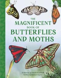 bokomslag The Magnificent Book of Butterflies and Moths