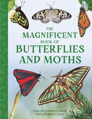 The Magnificent Book of Butterflies and Moths 1
