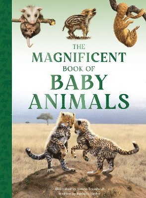 bokomslag The Magnificent Book of Baby Animals