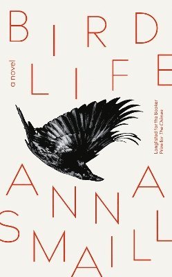 Bird Life 1