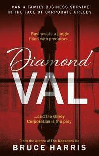 bokomslag Diamond Val