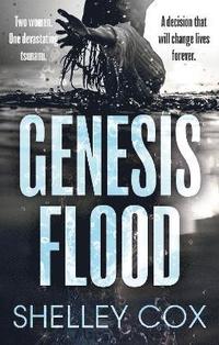 bokomslag Genesis Flood