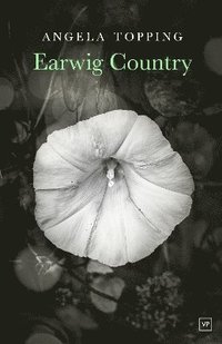 bokomslag Earwig Country