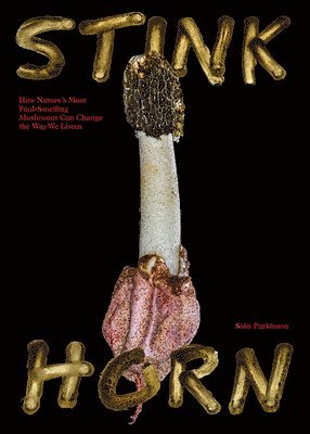 Stinkhorn 1