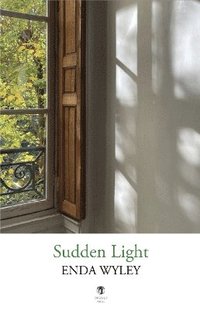 bokomslag Sudden Light