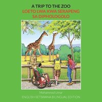 bokomslag A Trip to the Zoo: English-Setswana Bilingual Edition